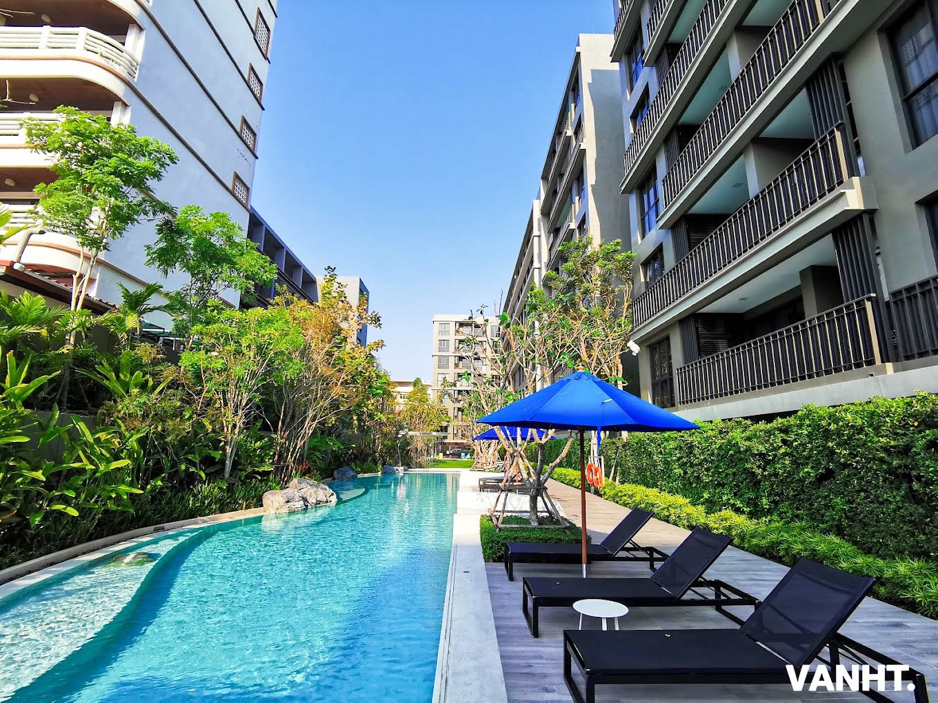 Marvest Condo swiming pool